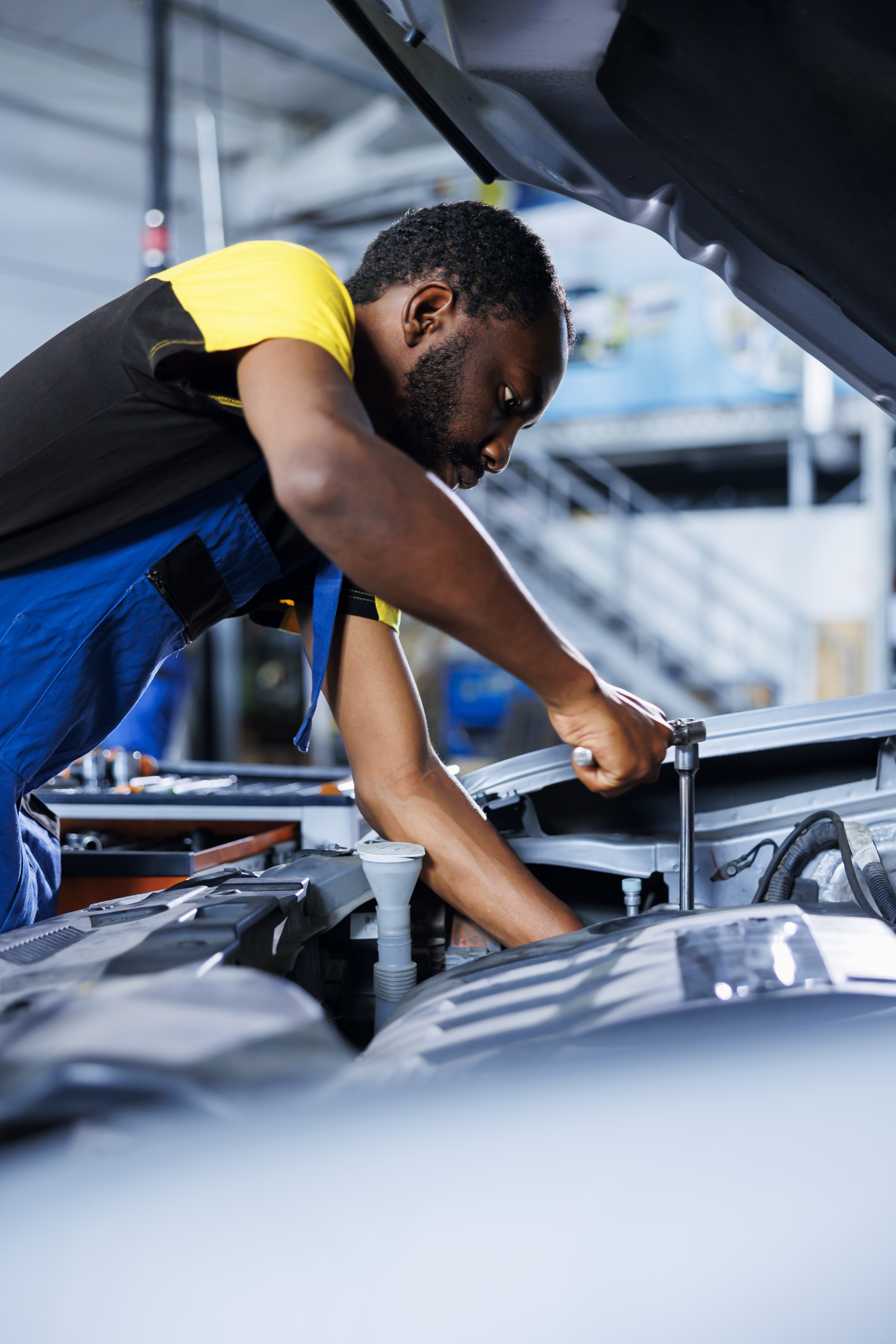 Professional Mechanic